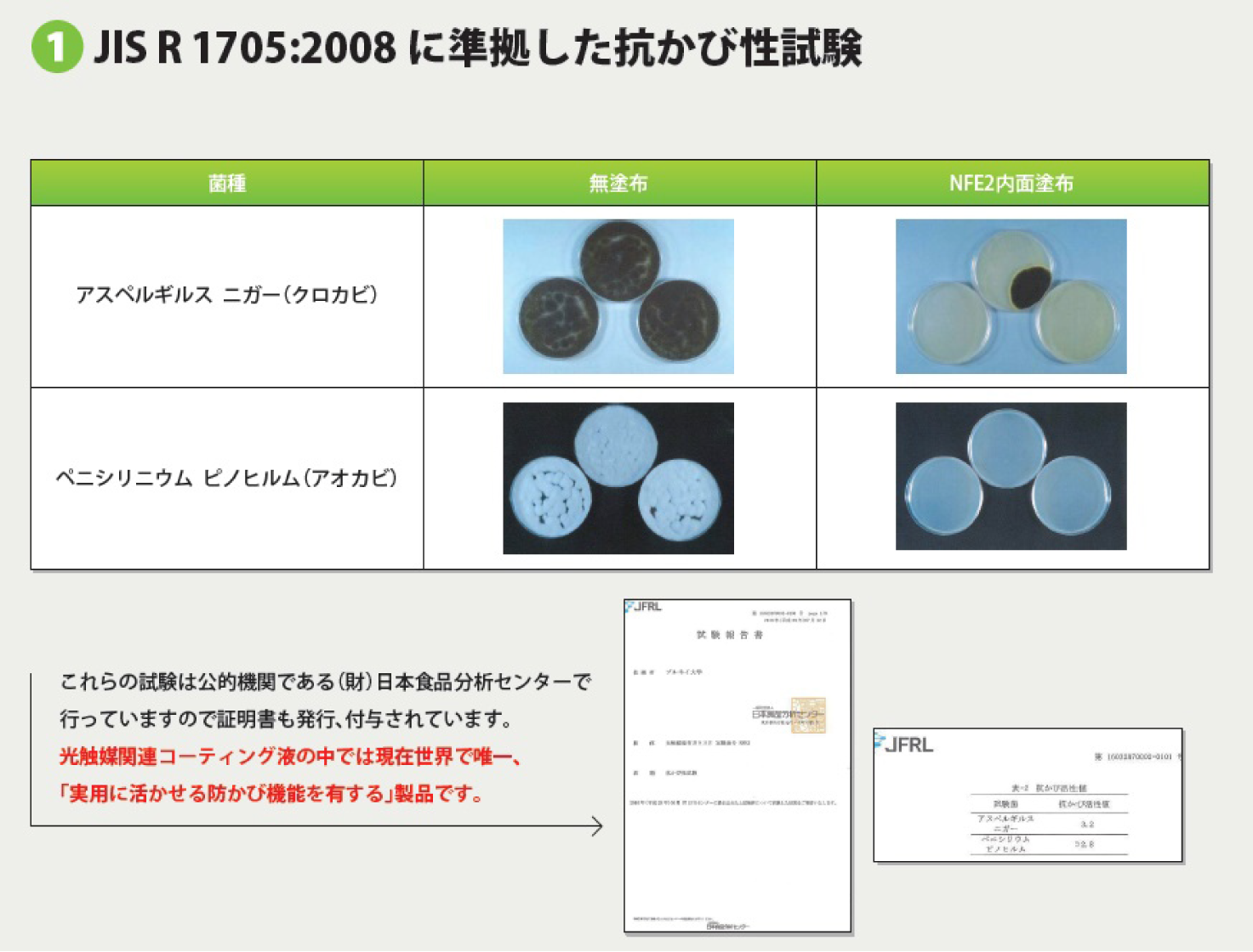 抗かび性実験